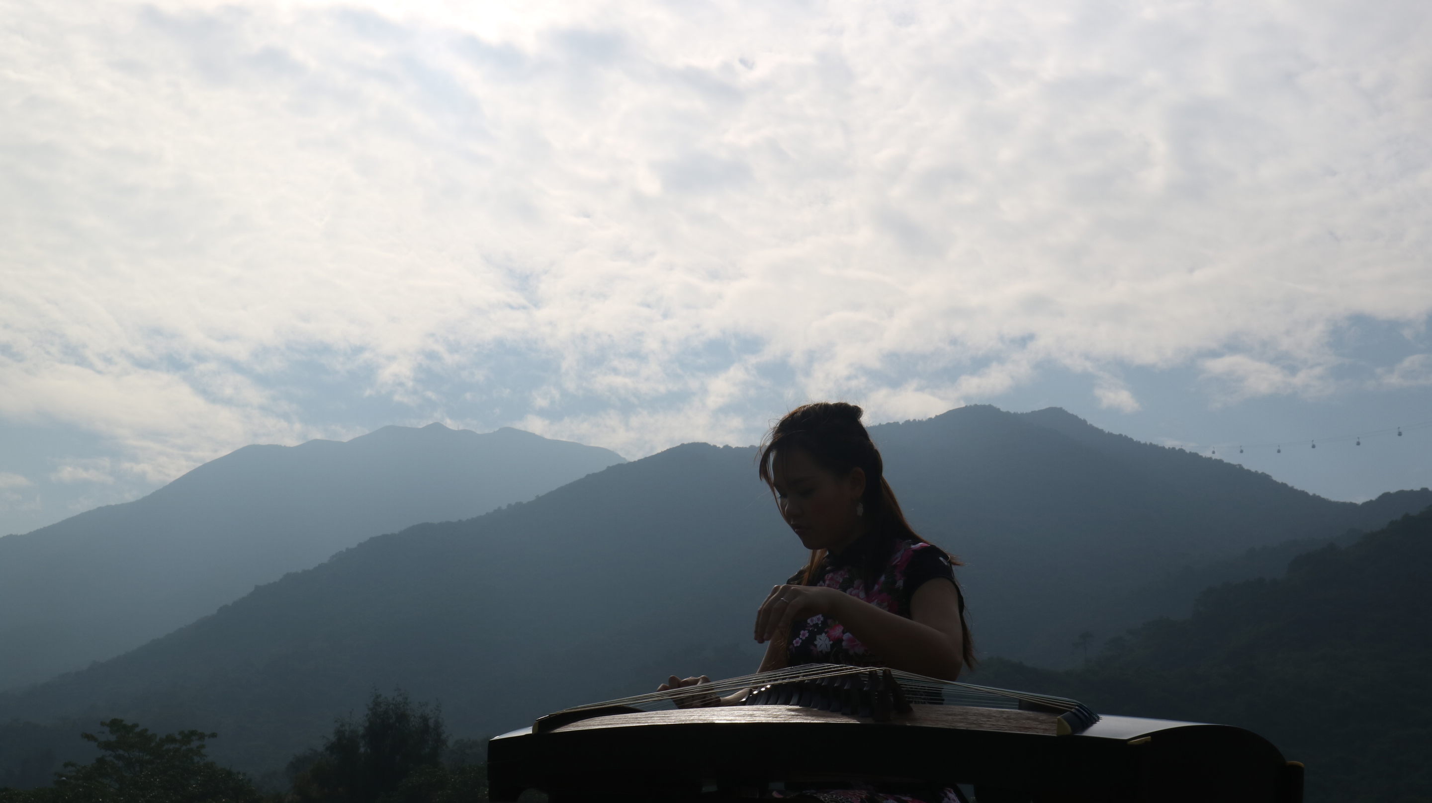 guzheng mrskukuku