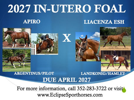 LIACENZA '27