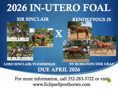 RENDEZVOUS JS '26