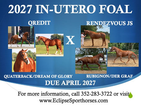 RENDEZVOUS JS '27