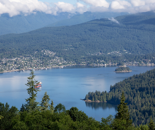 background for website 2.png