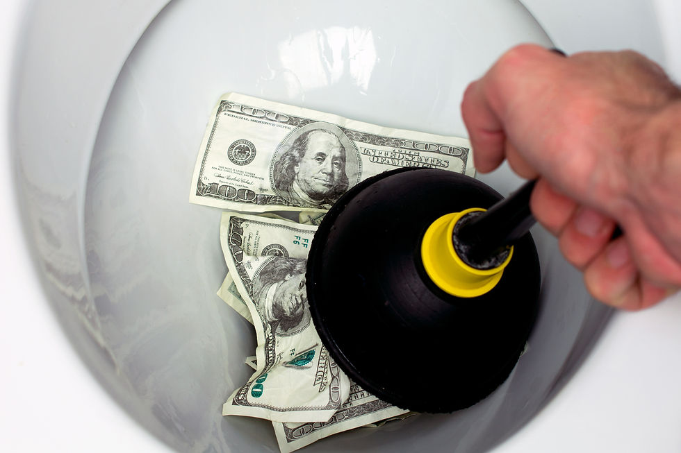 There is no doubt the U.S. Government has a history of flushing money down the drain.