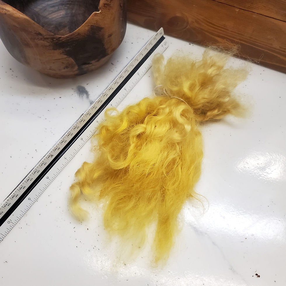 Thumbnail: Hand-Dyed, Botanically, Lincoln Longwool Locks - 0.5 oz Bundles