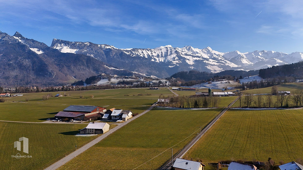 DJI_20250215154353_0096_D