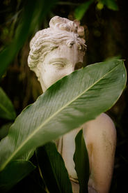Close-up of a white garden statue partially hidden by tropical leaves