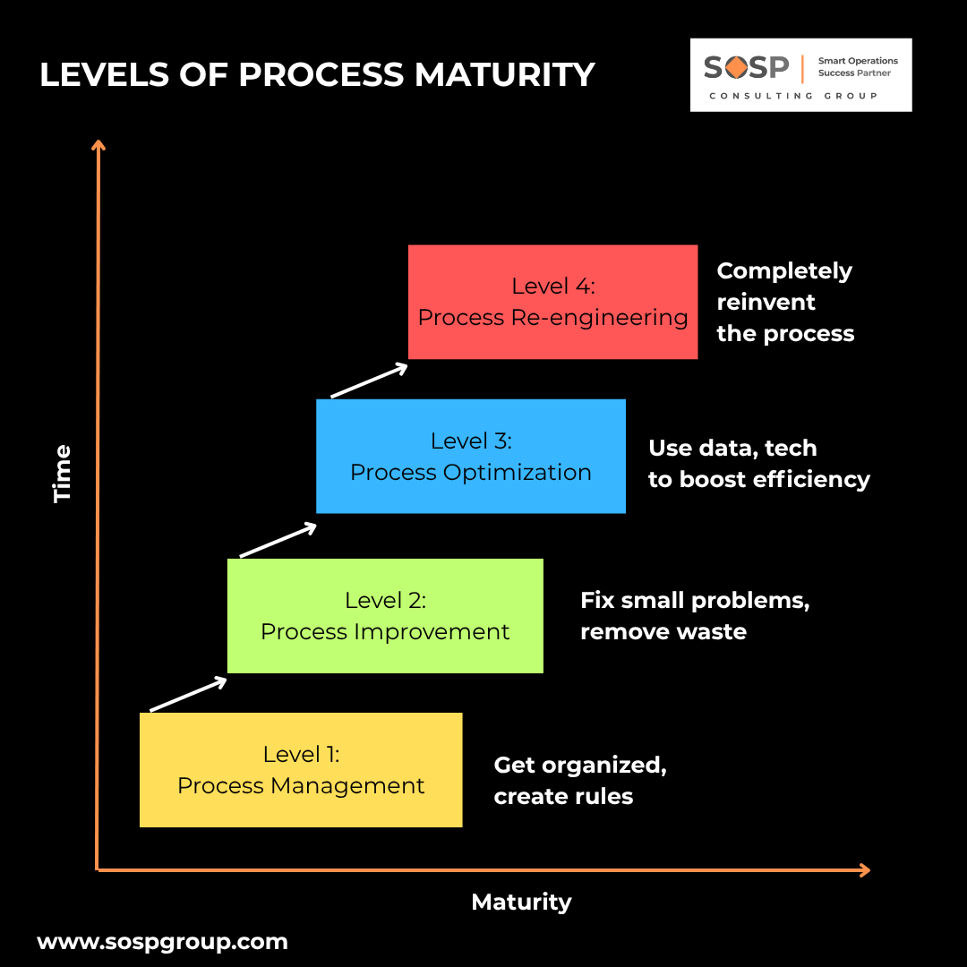 Process Maturity Graph A Guide for CEOs & Founders: Navigating the 4 Levels of Process Maturity