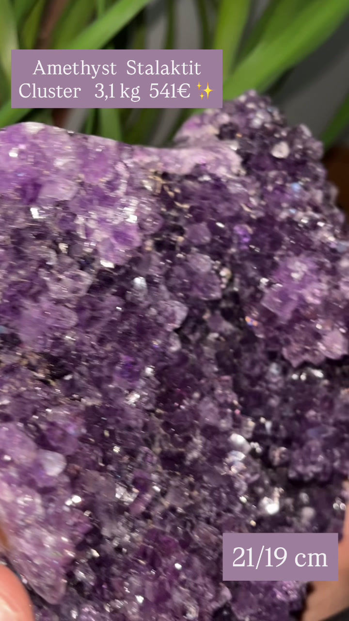 Miniaturbild: Amethyst Stalaktiten high Quality aus Uruguay 🇺🇾 free Form 💜