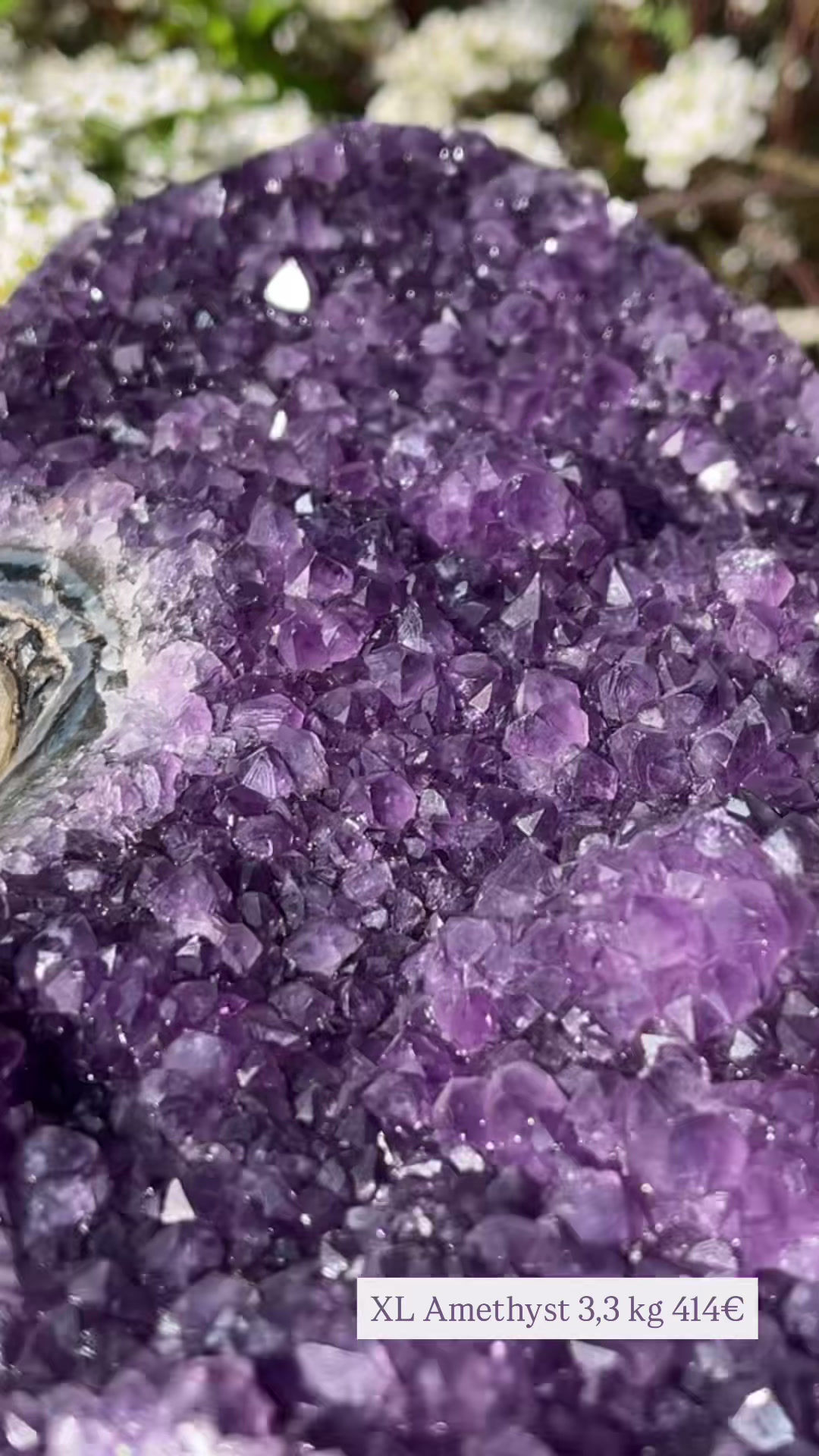 XL Amethyst 💜