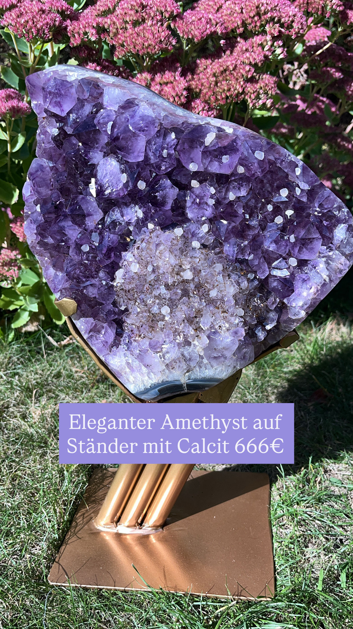 Eleganter Amethyst aus Brasilien 🇧🇷 auf Ständer 💜