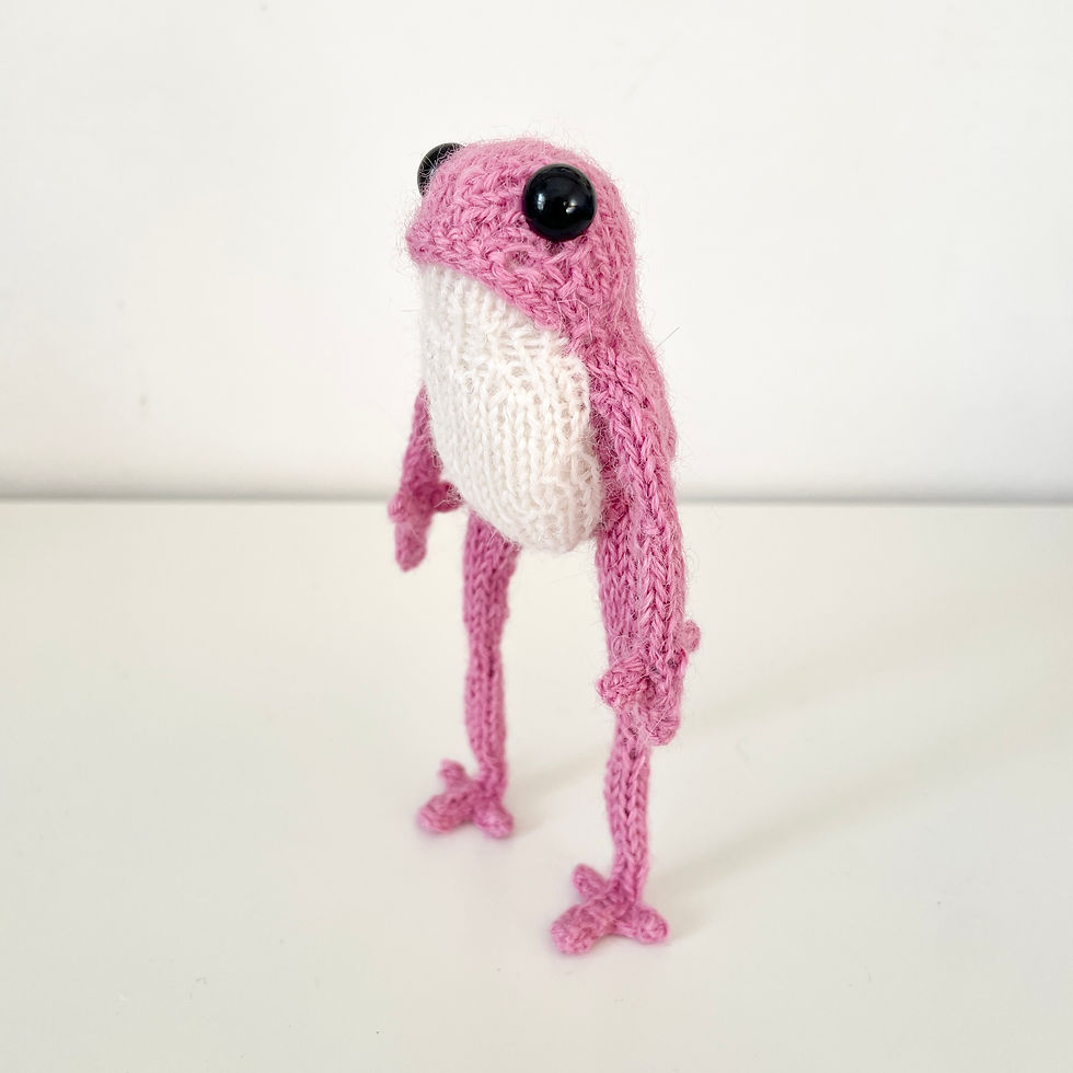 Thumbnail: Hand Knitted Pink Frog. 