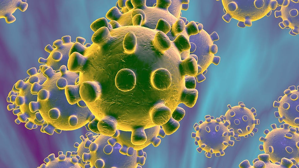 ¿Qué es el Coronavirus?