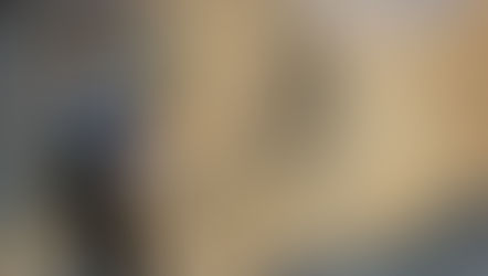 World's longest zip line opens to the public in Ras Al Khaimah