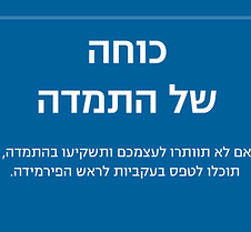 התמדה (2).png