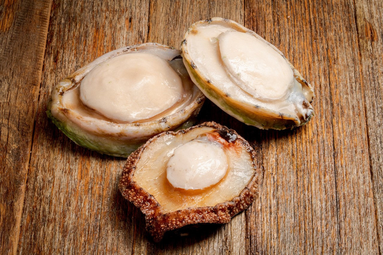 IQF Frozen Wild Abalone Single Pack Meat Only 冷冻野生黑边鲍鱼 Bào ngư viền đe