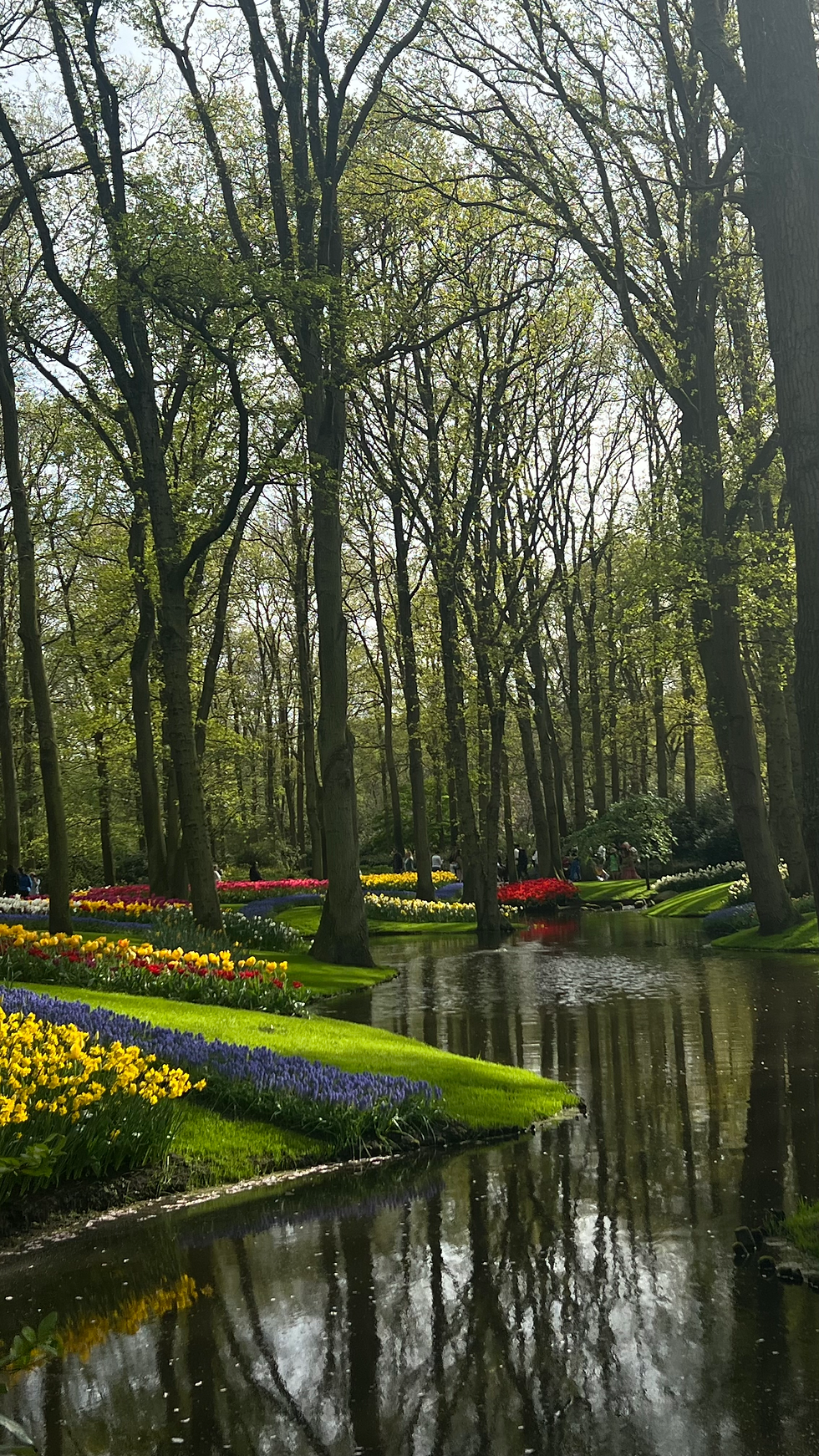 amsterdam, the netherlands