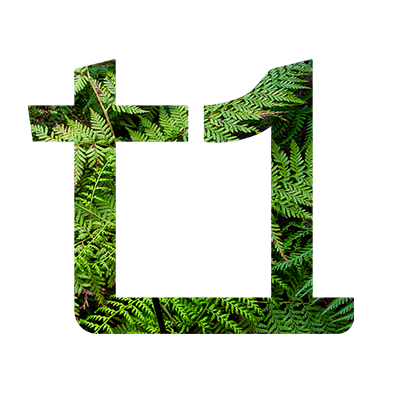 2024.02_PNG_t1FernbackFavIcon_400x400.png