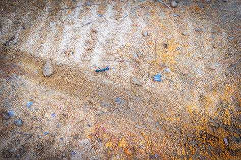 A t1 Photography image, from Sports Folio - undefined Service