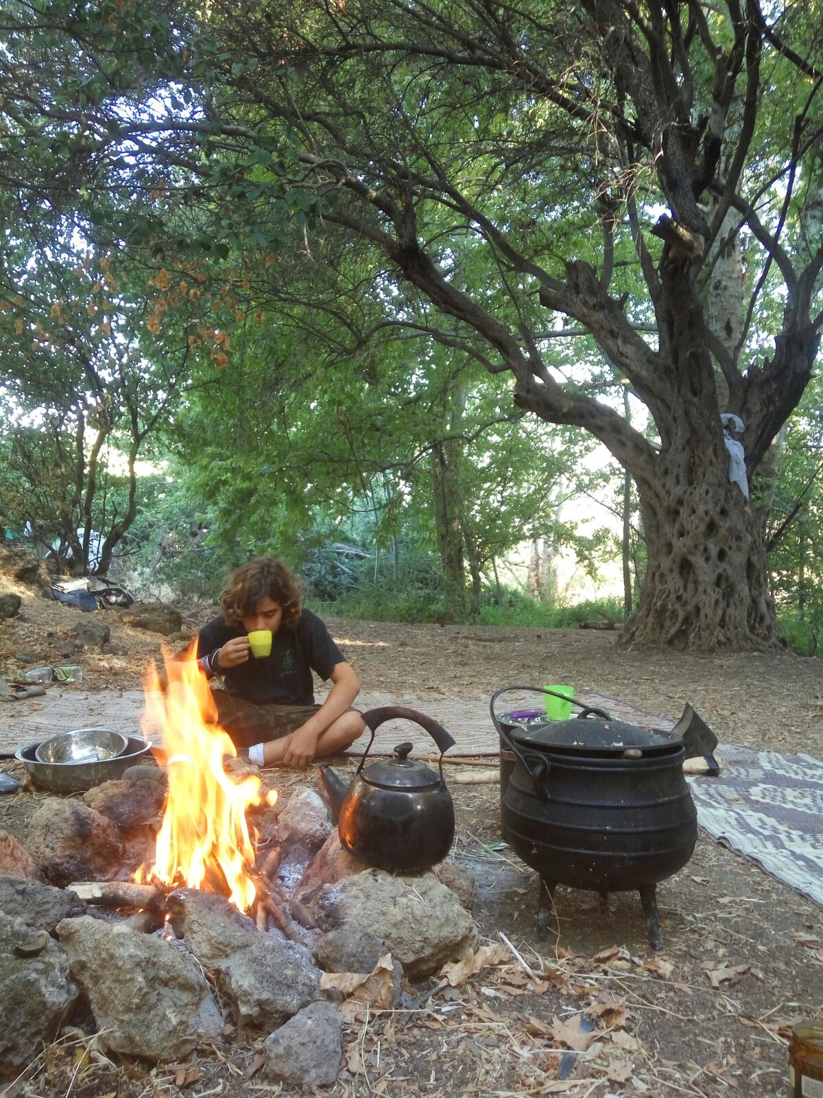 מחנה נוער בגולן, חמישה ימים בבר
