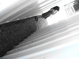 Immigration Project: Student Photography -Laylah At School