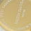 Thumbnail: Heidi Daus Giraffe styled Watch