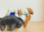 Miniatura: Sarlag - plstěný jak