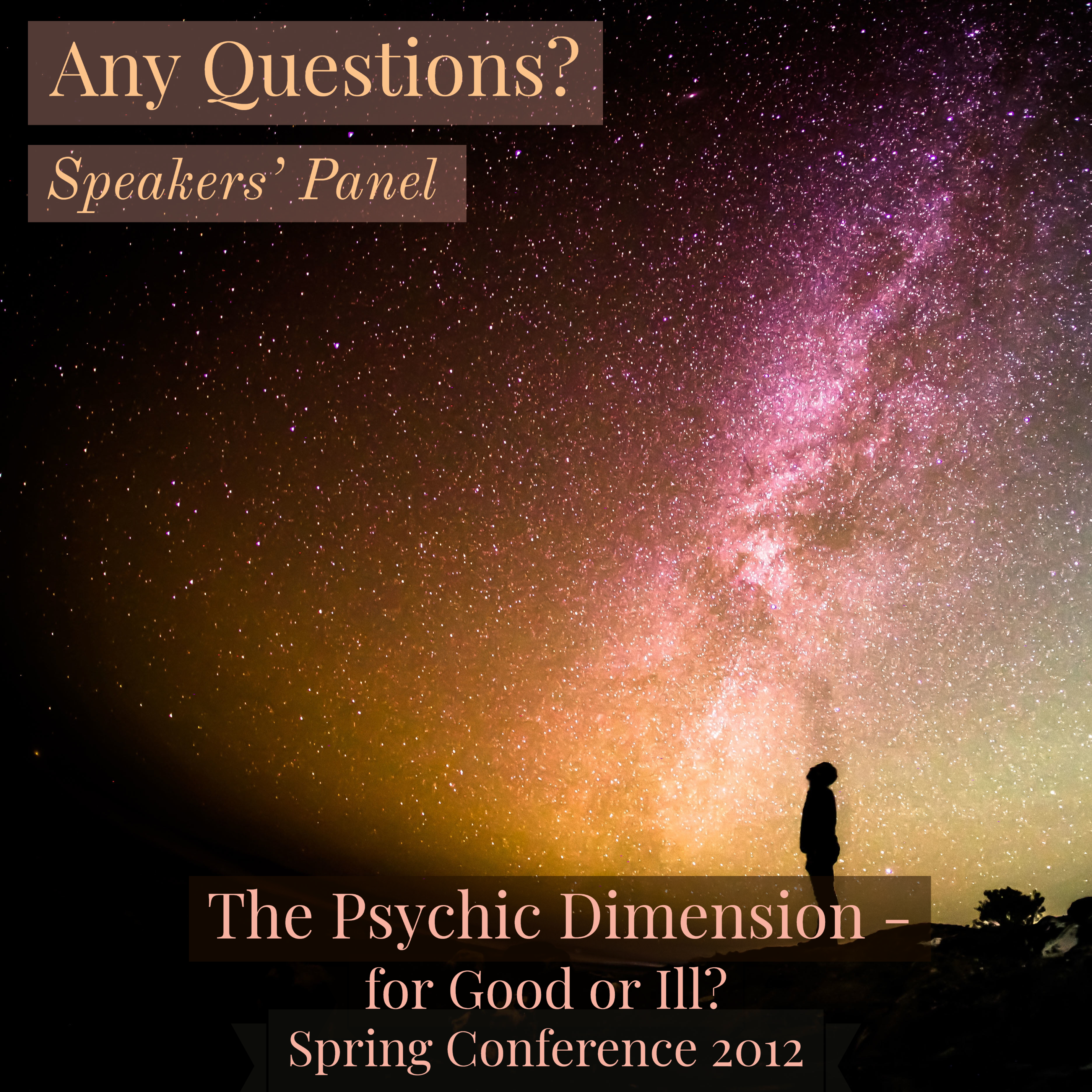 Spring Conference 2012 - Any Questions?