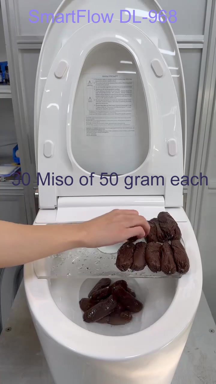Thumbnail: SmartFlow DL-968 Smart Bidet Toilet