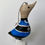 Thumbnail: Rugby Duckeration