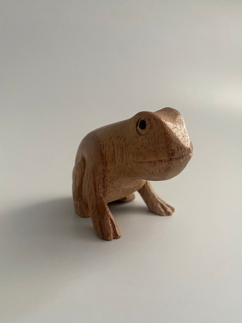 Thumbnail: Sitting Frog