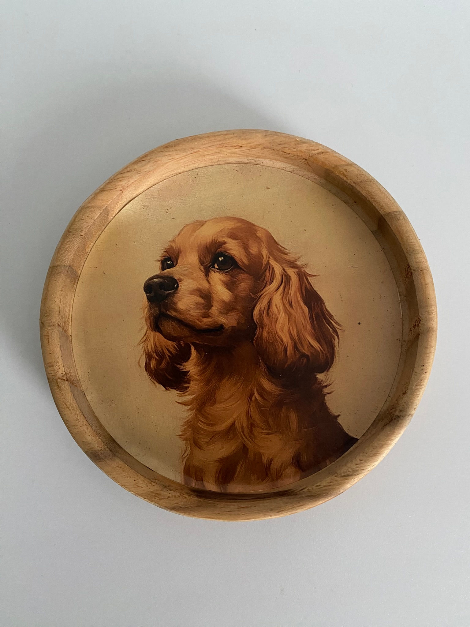 Teak Wood Animal Coaster - Spaniel Dog