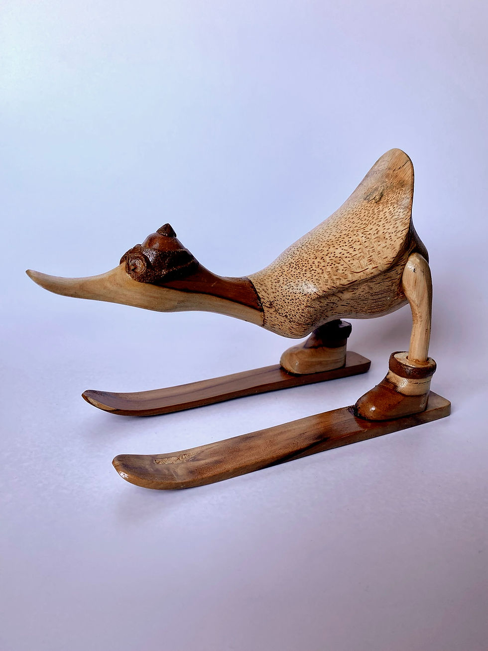 Thumbnail: The Skiing Duck