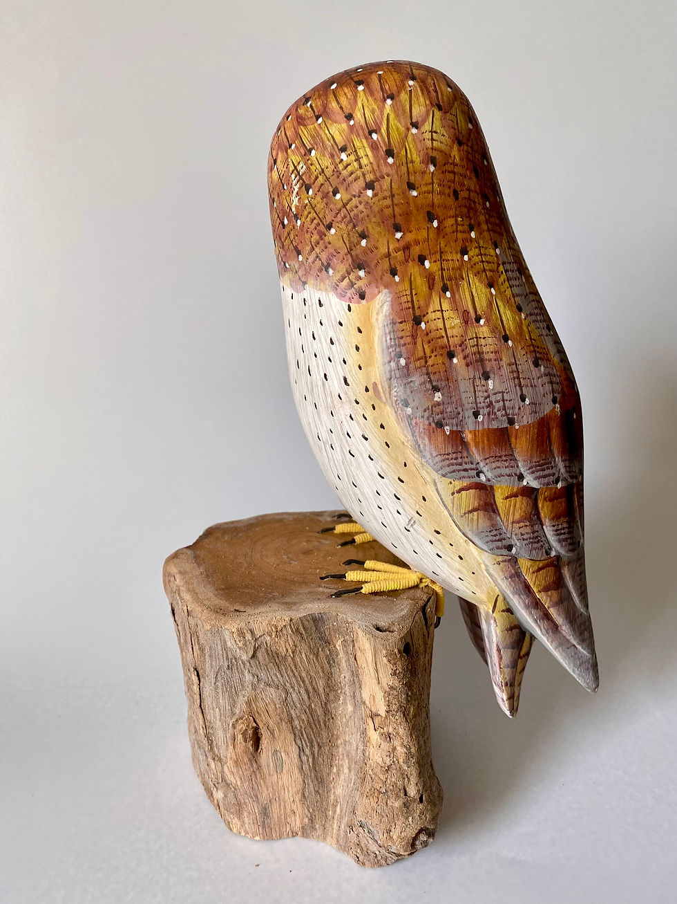 Thumbnail: Barn Owl - Painted Birds