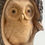 Thumbnail: Owl - Hand Carved Half Log