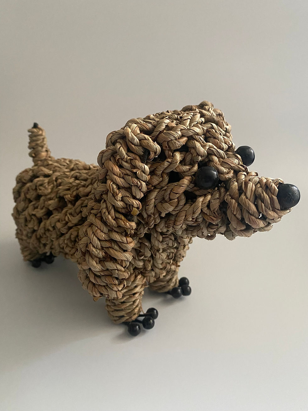 Sausage Rope Dog
