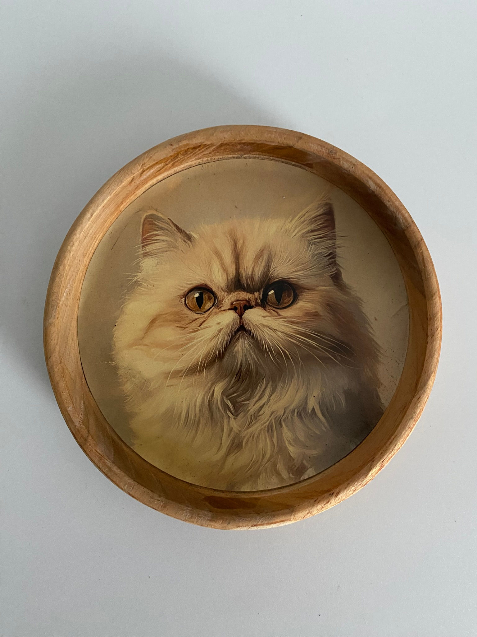 Teak Wood Animal Coaster - Persian Cat