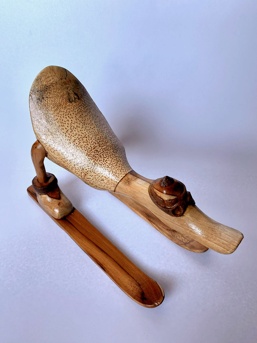 Thumbnail: The Skiing Duck