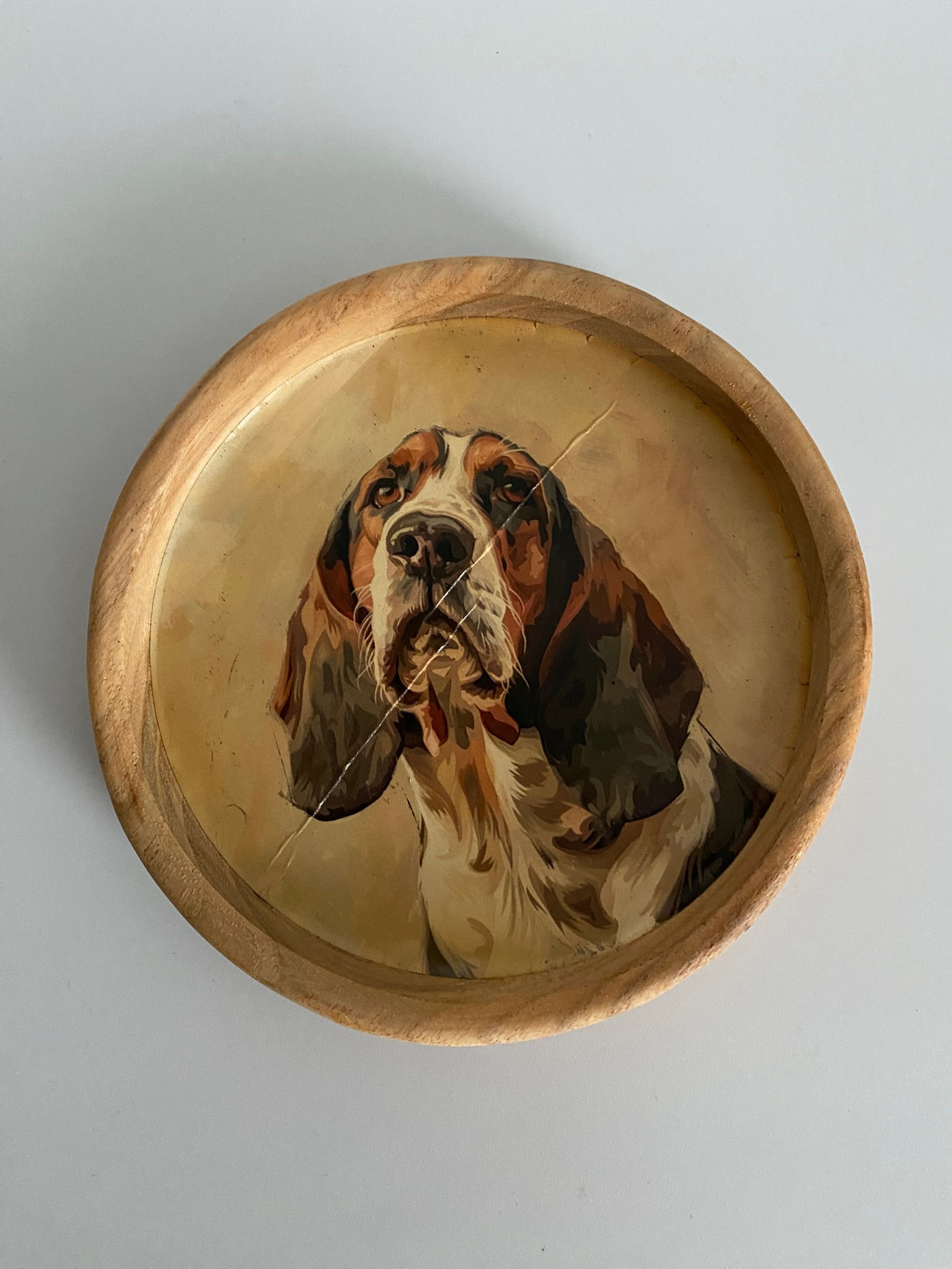 Teak Wood Animal Coaster - Basset Hound Dog