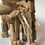 Thumbnail: Driftwood Elephant