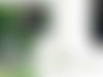 Designer Photo Album in Delhi