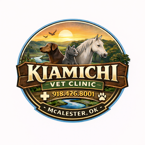 ChatGPT Image Feb 28, 2026, 03_01_55 PM.png