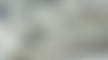Como o jornalismo mudou nas últimas décadas