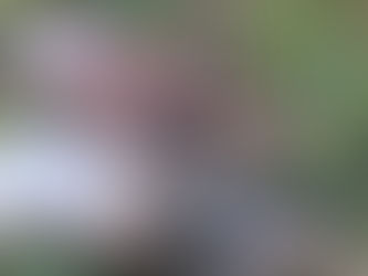 BREAKING: Husband, wife electrocuted by illegal wires at Success Squatting Area