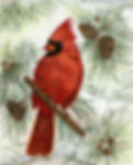 Wintry Cardinal $350