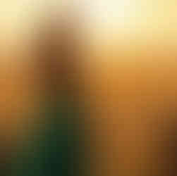 Curated luxury travel with private villas and ocean views