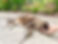 IMG_2717.jpeg