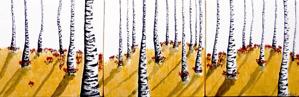 Thumbnail: Birch Trees in Daylight