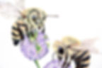 Painting-Love To The Bees