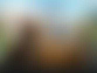 🎬 제8회 머내마을영화제 (9/13) 상영작 안내 🎬