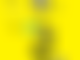 [나도감독]제8회 머내마을영화제 영화제작 수강생 모집_초등반