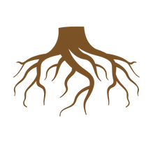 caseyishealing logo (9).png